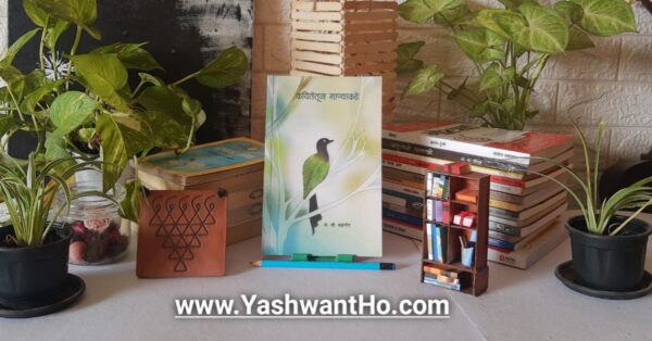kavitetun ganyakade na dho mahanor marathi book yashwant ho blog